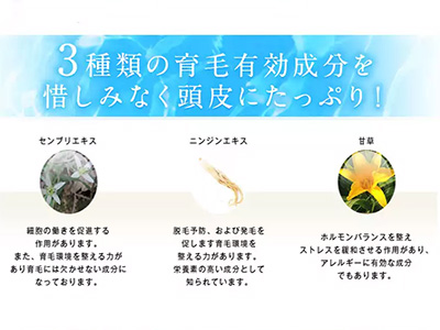 女性にオススメの育毛剤3
